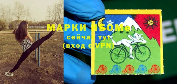 стафф Заволжье