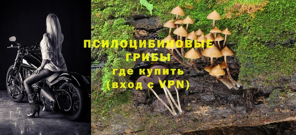 эйфоретик Заволжск